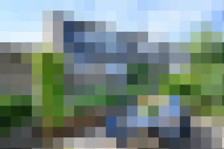 Cornelis Dopperlaan 10 Dieren thumbnail 30