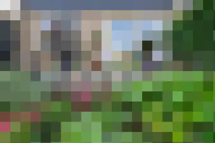 Cornelis Dopperlaan 10 Dieren thumbnail 34