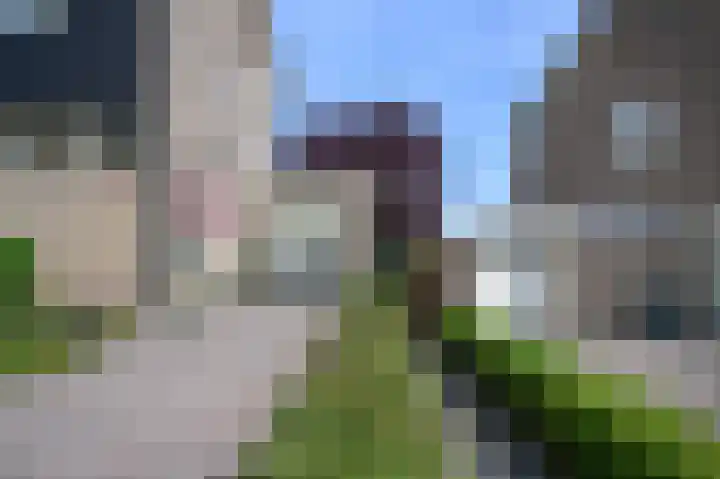 Cornelis Dopperlaan 10 Dieren thumbnail 36
