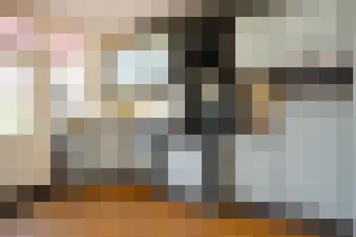 Cornelis Dopperlaan 10 Dieren thumbnail 4