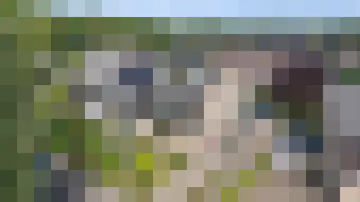 Cornelis Dopperlaan 10 Dieren thumbnail 40