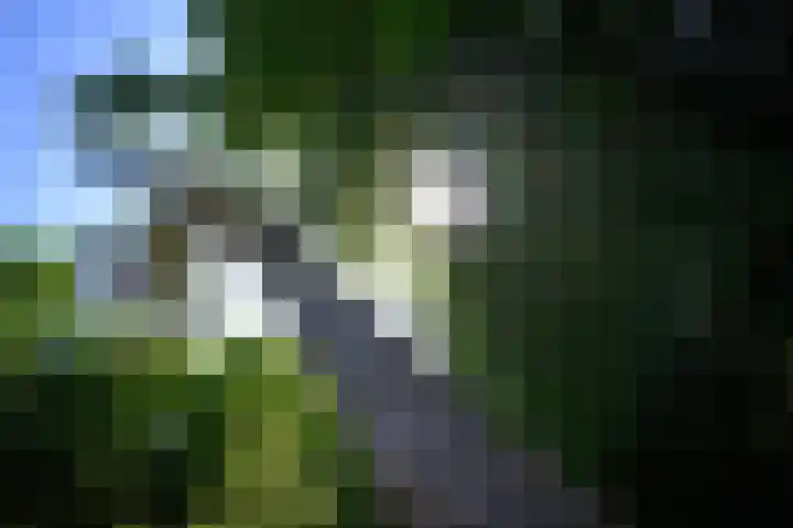 Cornelis Dopperlaan 10 Dieren thumbnail 47