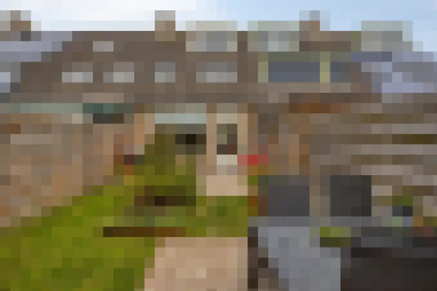 Cornelis Dopperlaan 17 Oegstgeest thumbnail 14