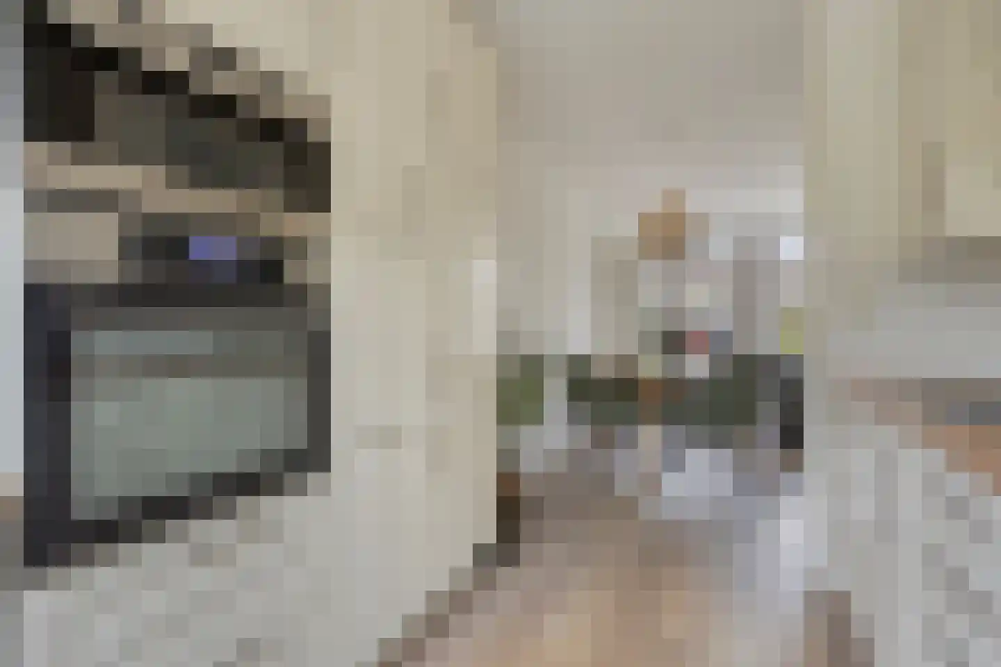Cornelis Dopperlaan 17 Oegstgeest thumbnail 16
