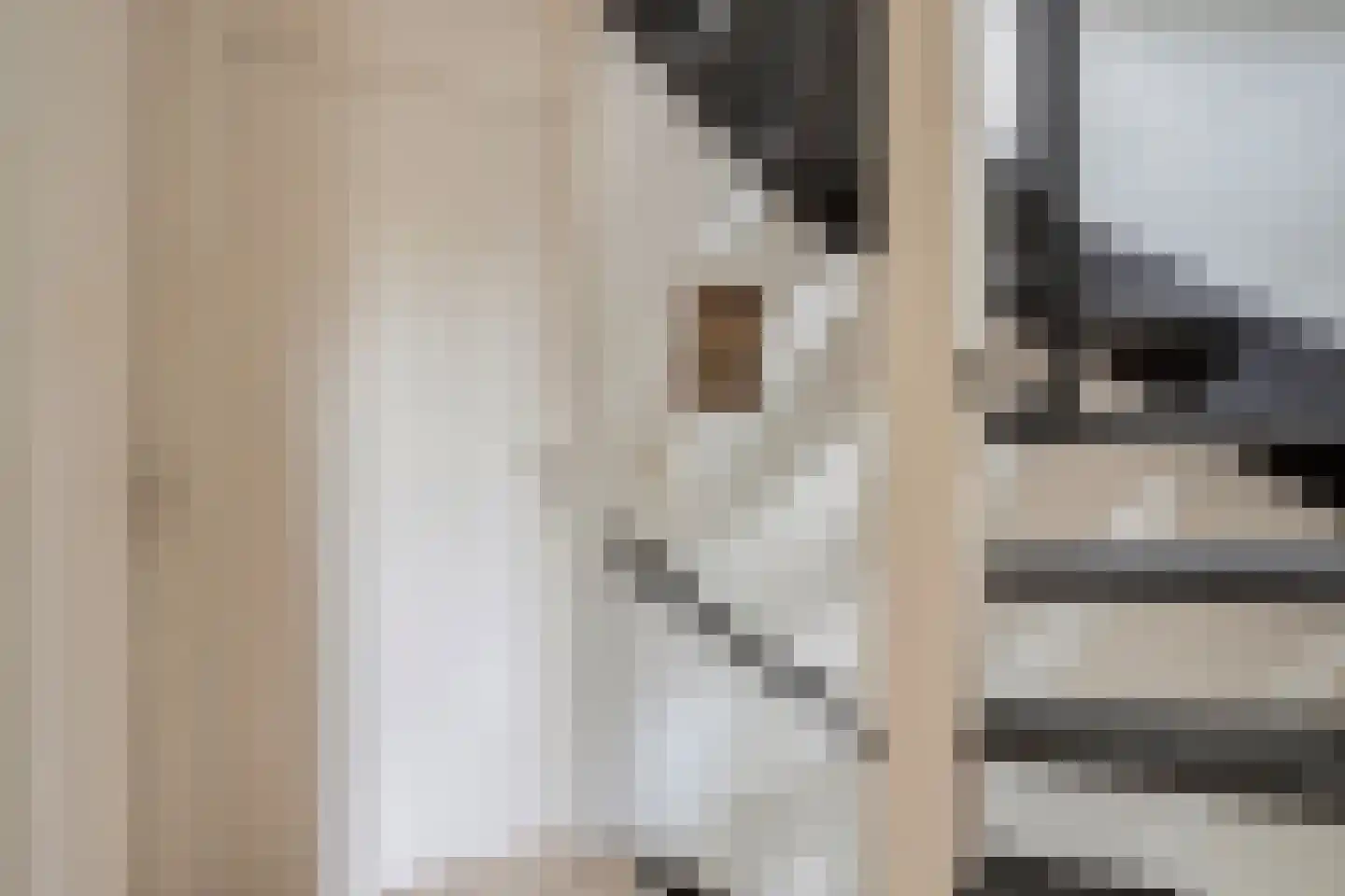 Cornelis Dopperlaan 17 Oegstgeest thumbnail 19