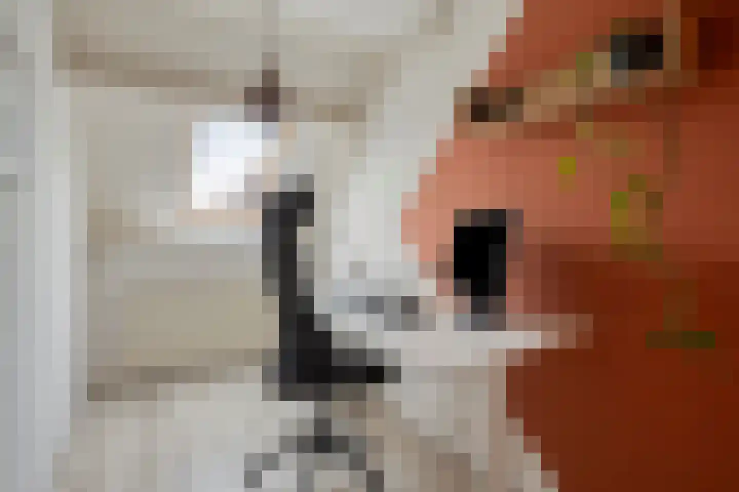 Cornelis Dopperlaan 17 Oegstgeest thumbnail 27