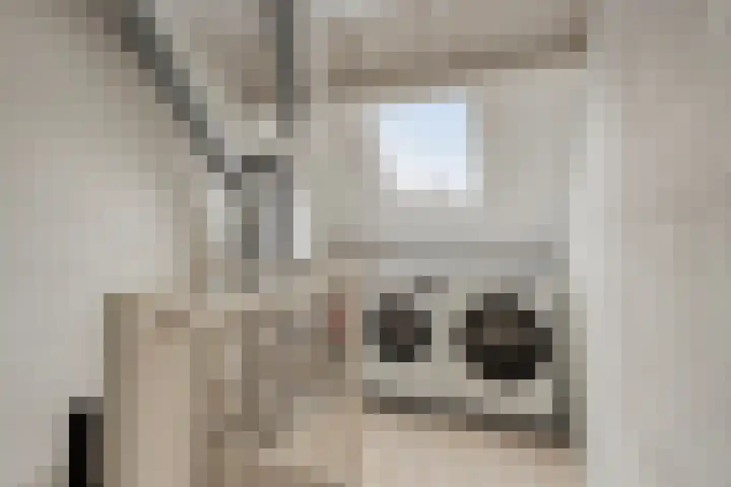 Cornelis Dopperlaan 17 Oegstgeest thumbnail 28