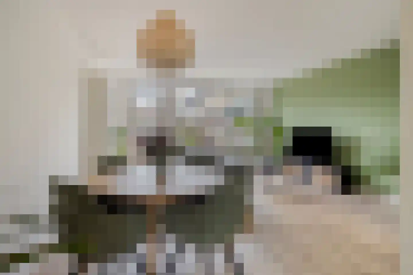 Cornelis Dopperlaan 17 Oegstgeest thumbnail 9