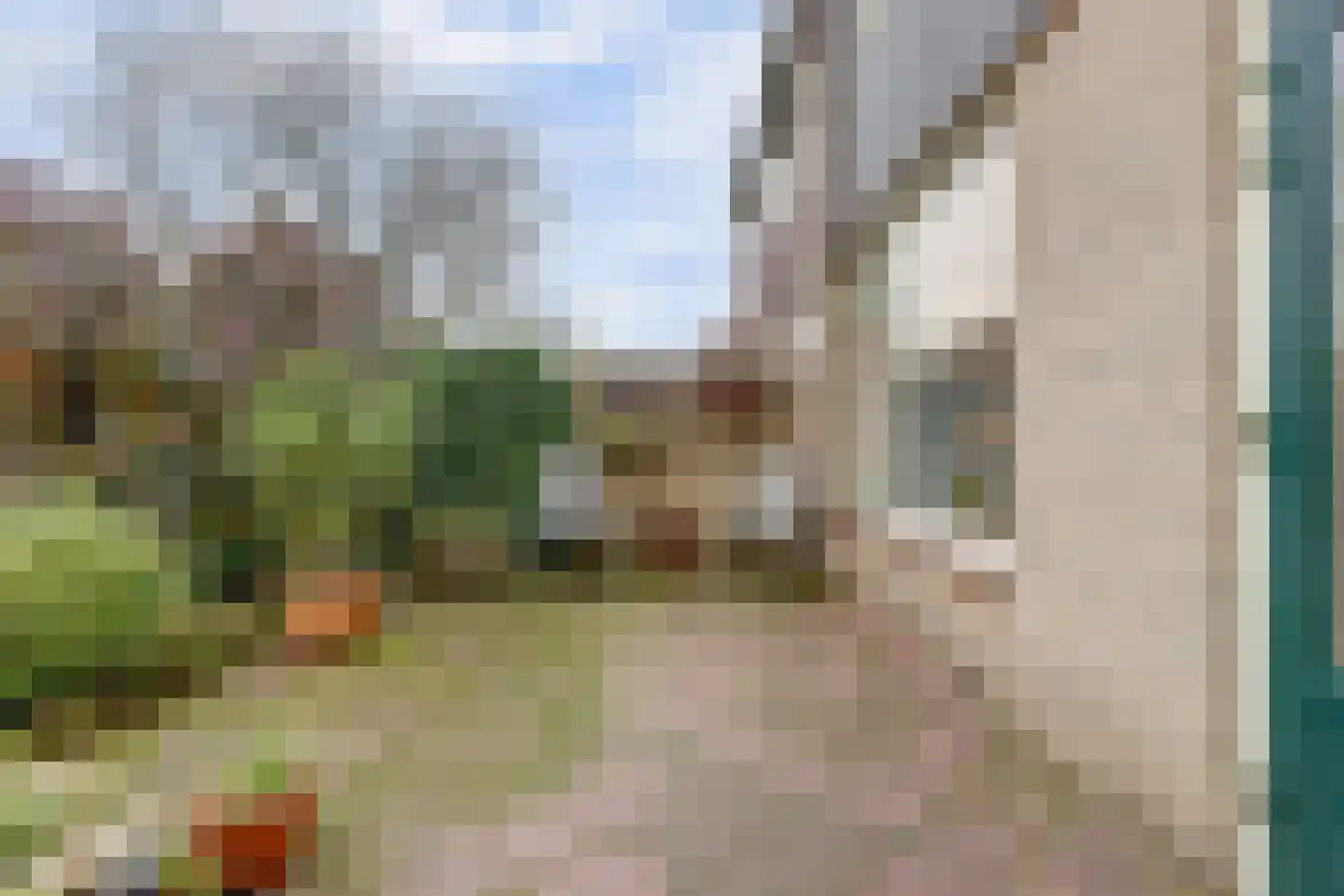 Cornelis Dopperlaan 18 Dieren thumbnail 11