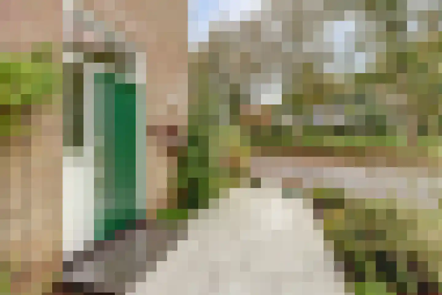 Cornelis Dopperlaan 18 Dieren thumbnail 13