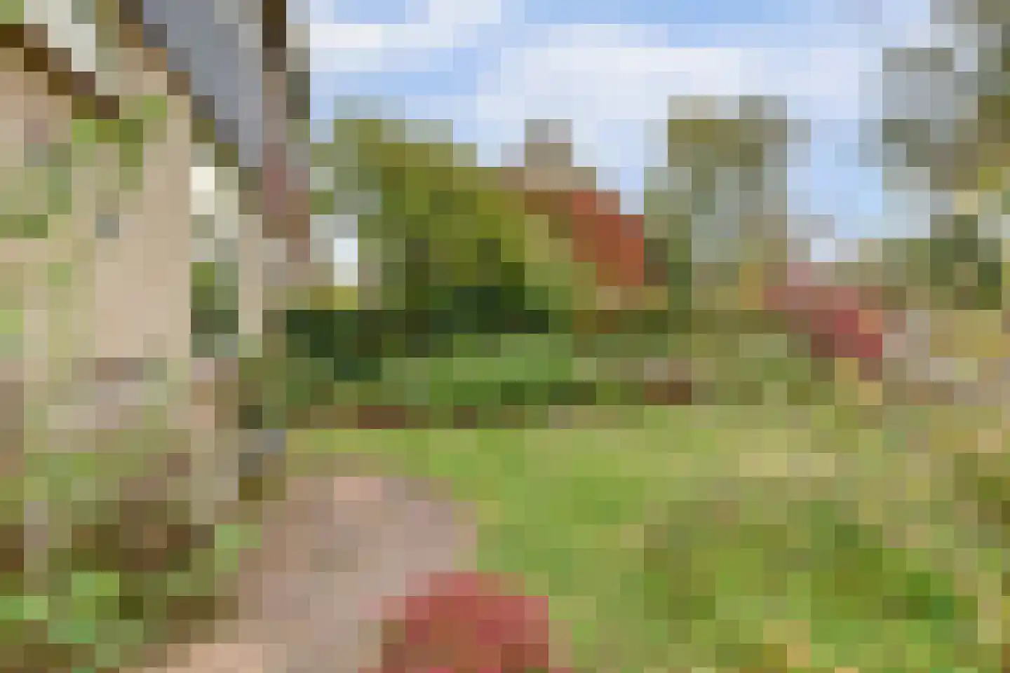 Cornelis Dopperlaan 18 Dieren thumbnail 14