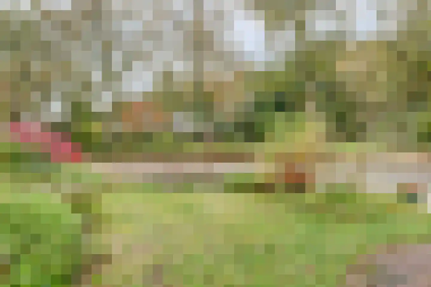 Cornelis Dopperlaan 18 Dieren thumbnail 15