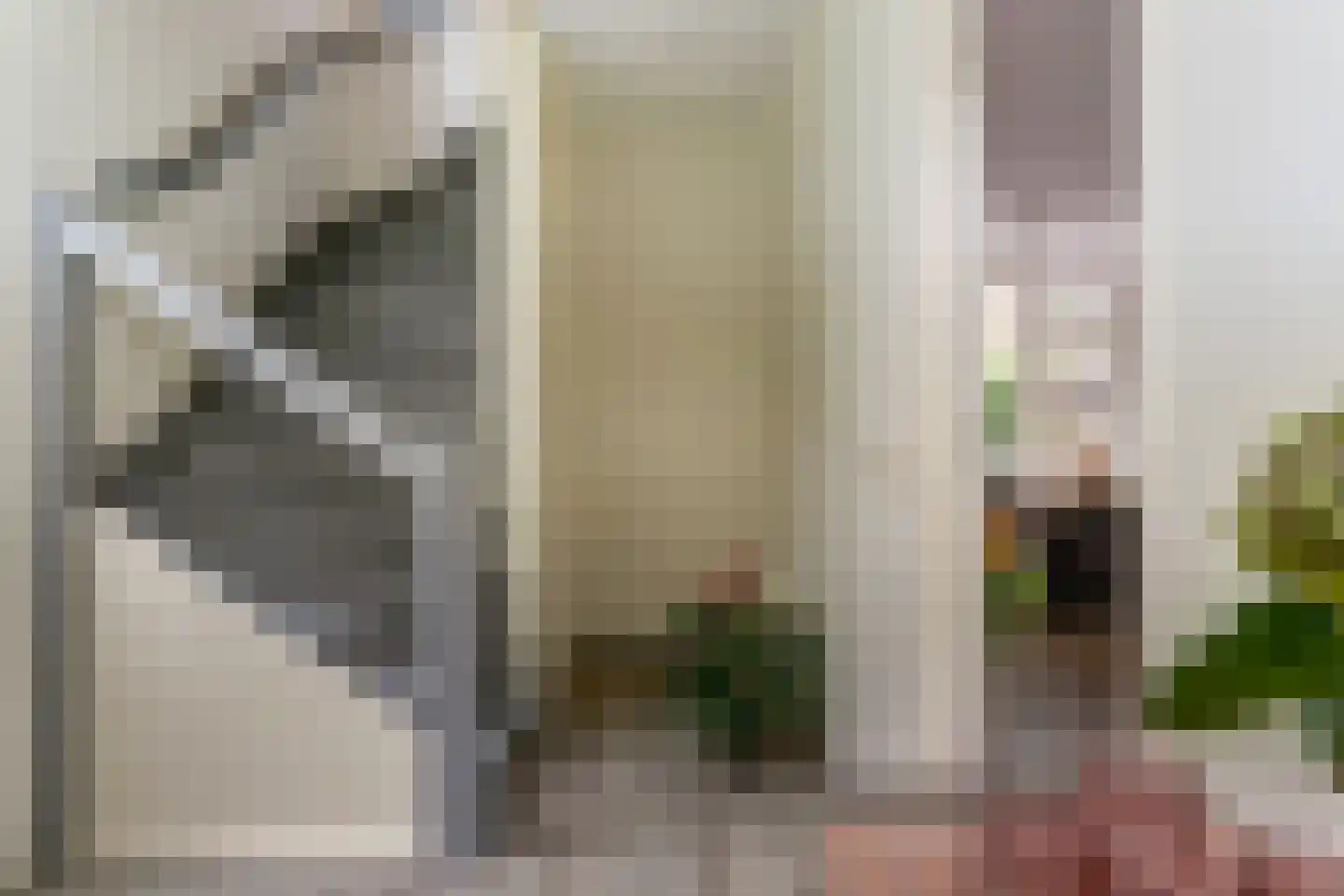 Cornelis Dopperlaan 18 Dieren thumbnail 18