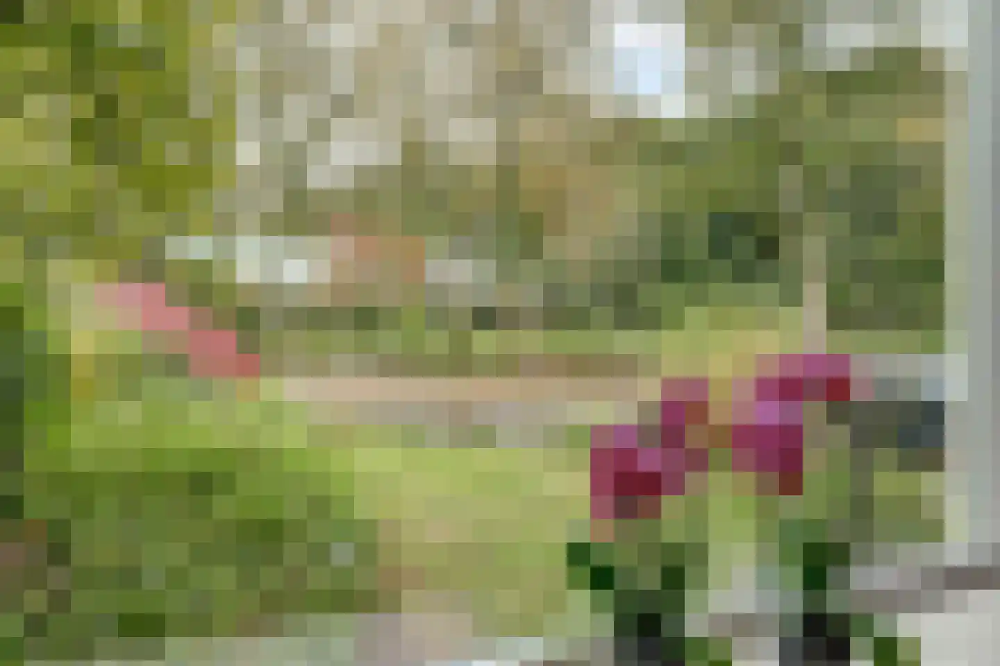 Cornelis Dopperlaan 18 Dieren thumbnail 21