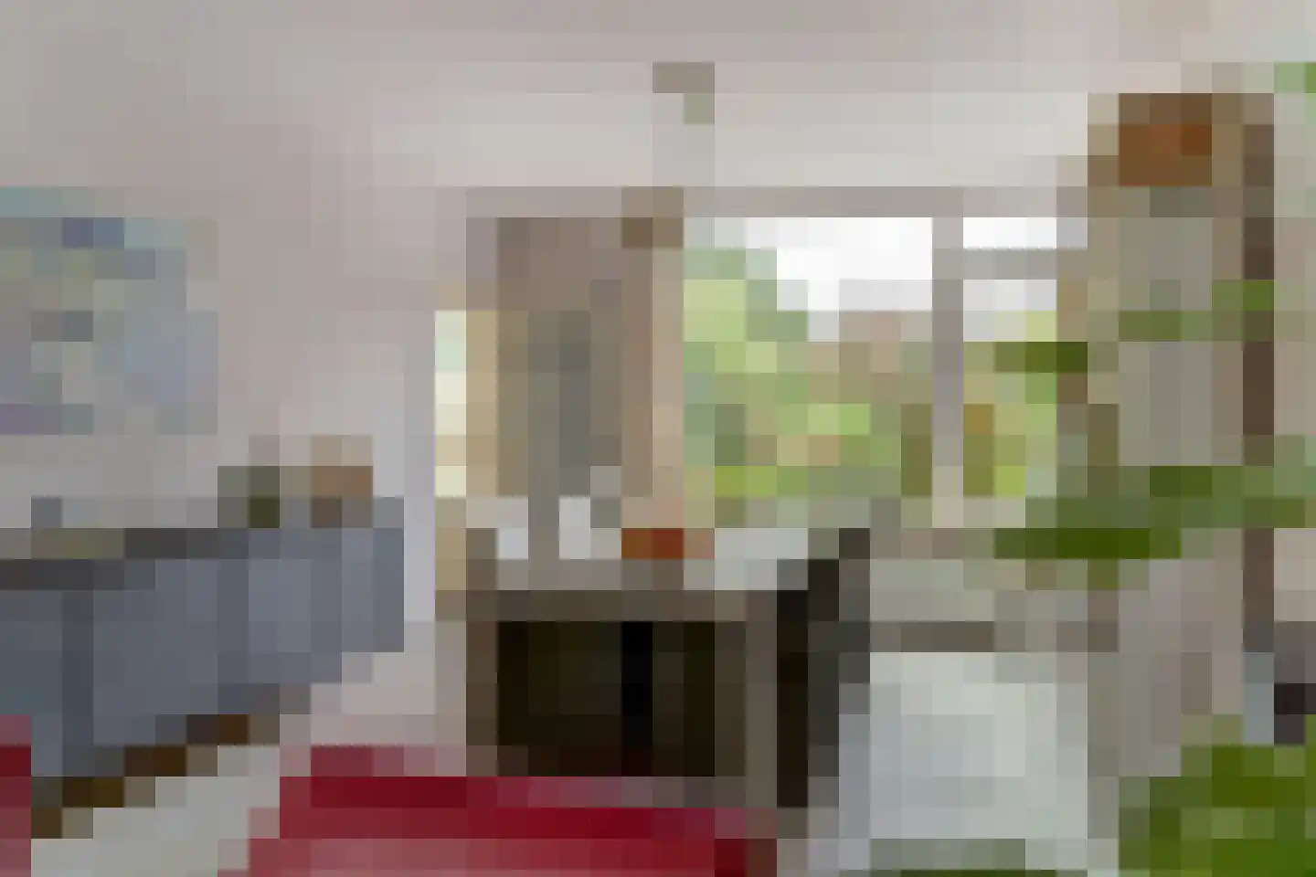 Cornelis Dopperlaan 18 Dieren thumbnail 24