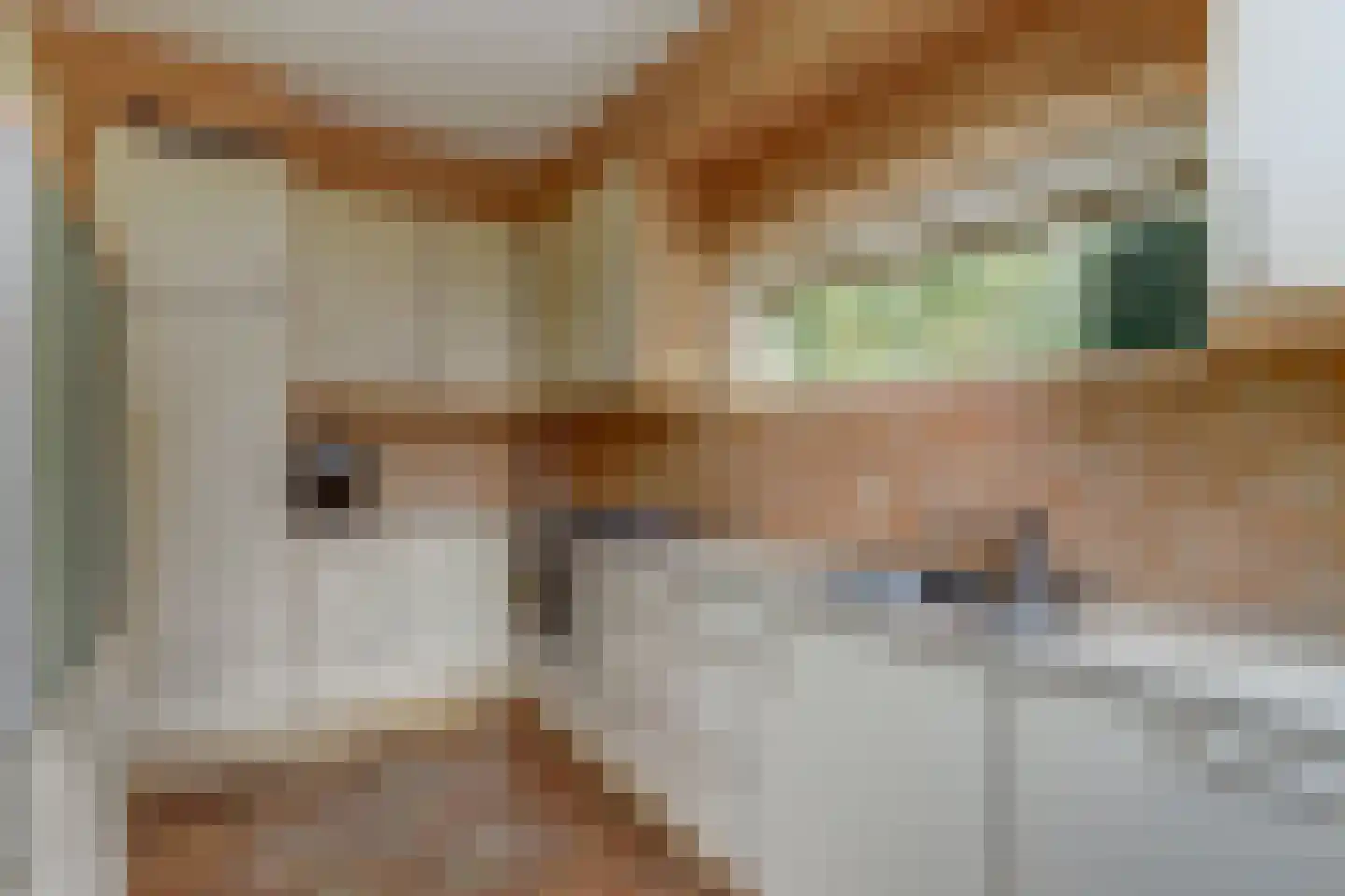 Cornelis Dopperlaan 18 Dieren thumbnail 27