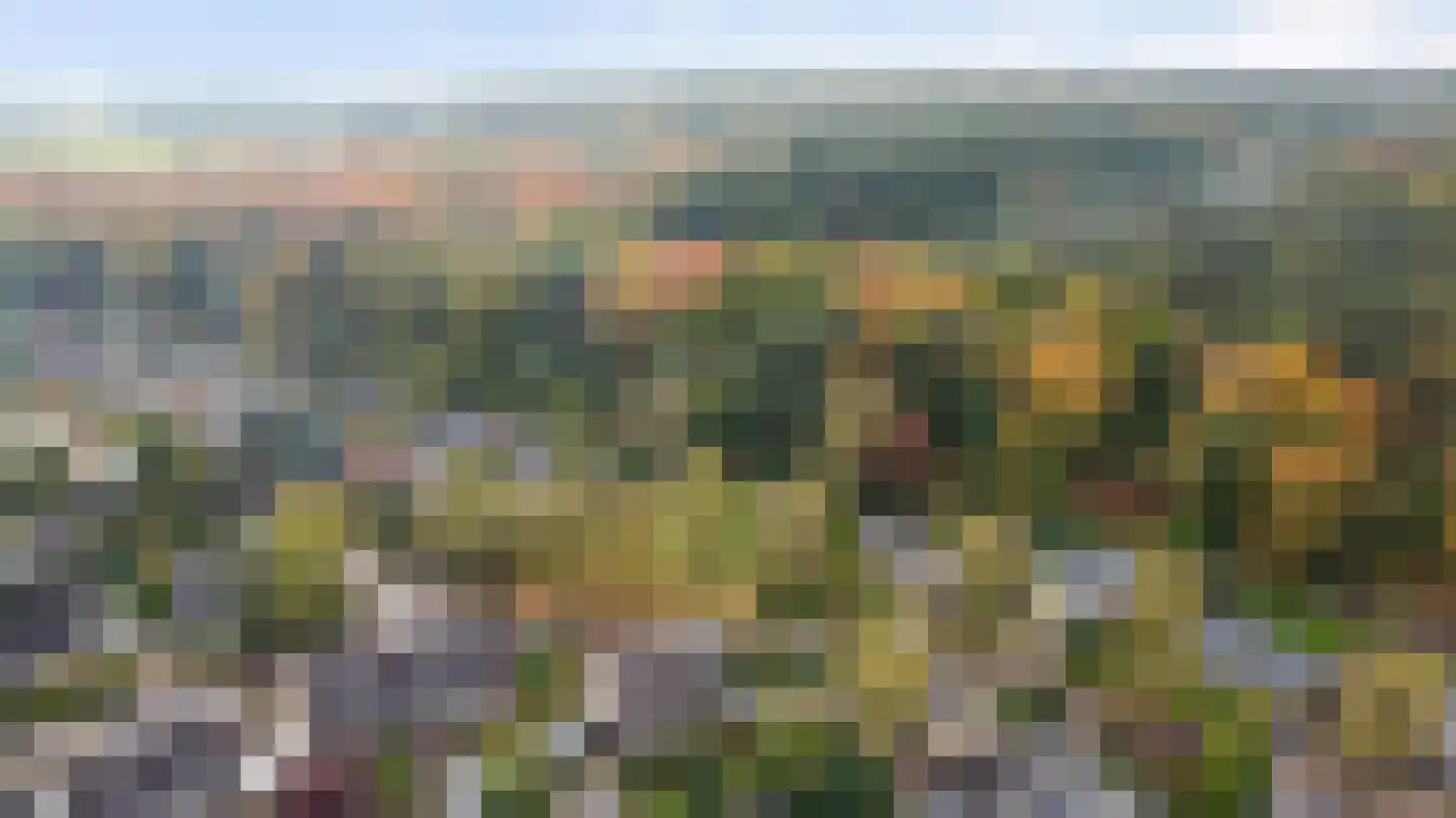 Cornelis Dopperlaan 18 Dieren thumbnail 4