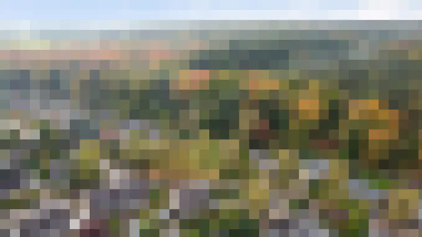 Cornelis Dopperlaan 18 Dieren thumbnail 4