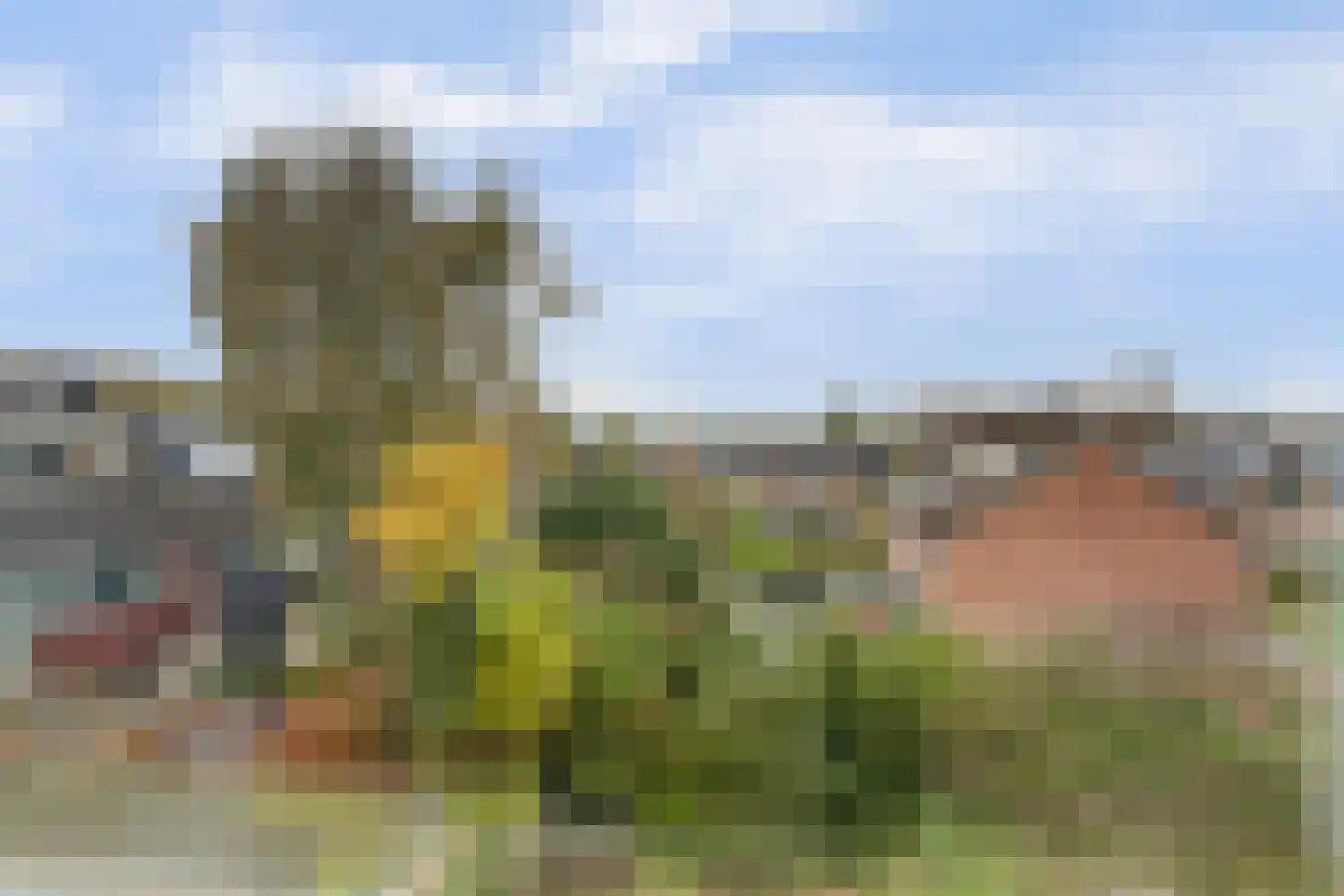 Cornelis Dopperlaan 18 Dieren thumbnail 48