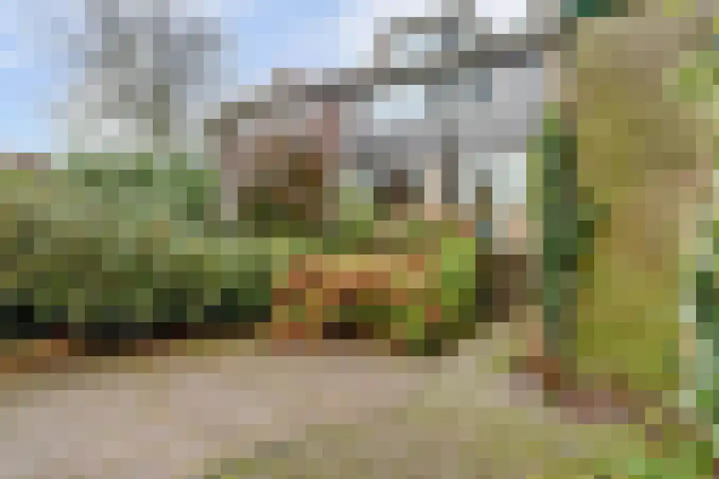 Cornelis Dopperlaan 18 Dieren thumbnail 49