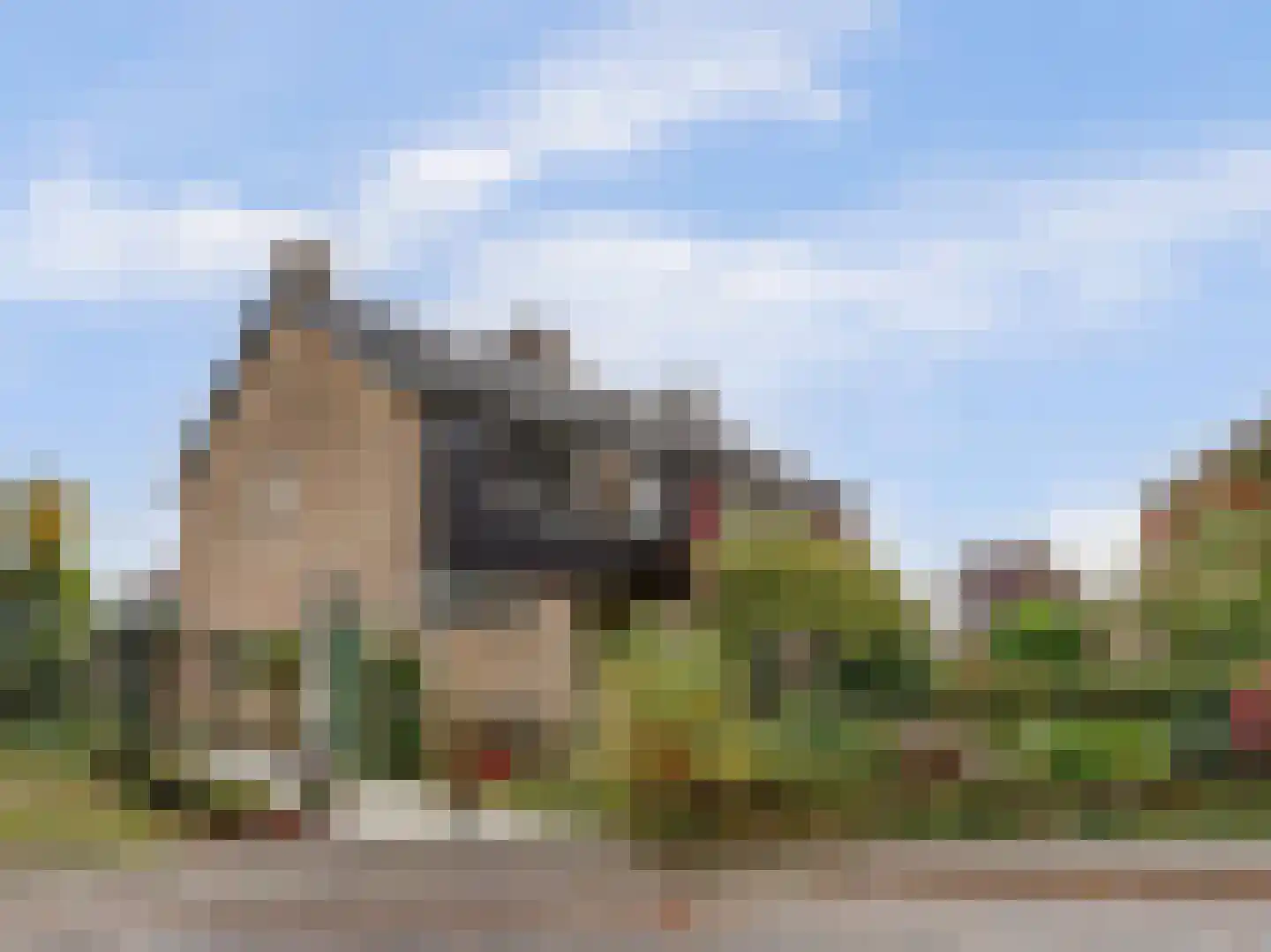 Cornelis Dopperlaan 18 Dieren thumbnail 5