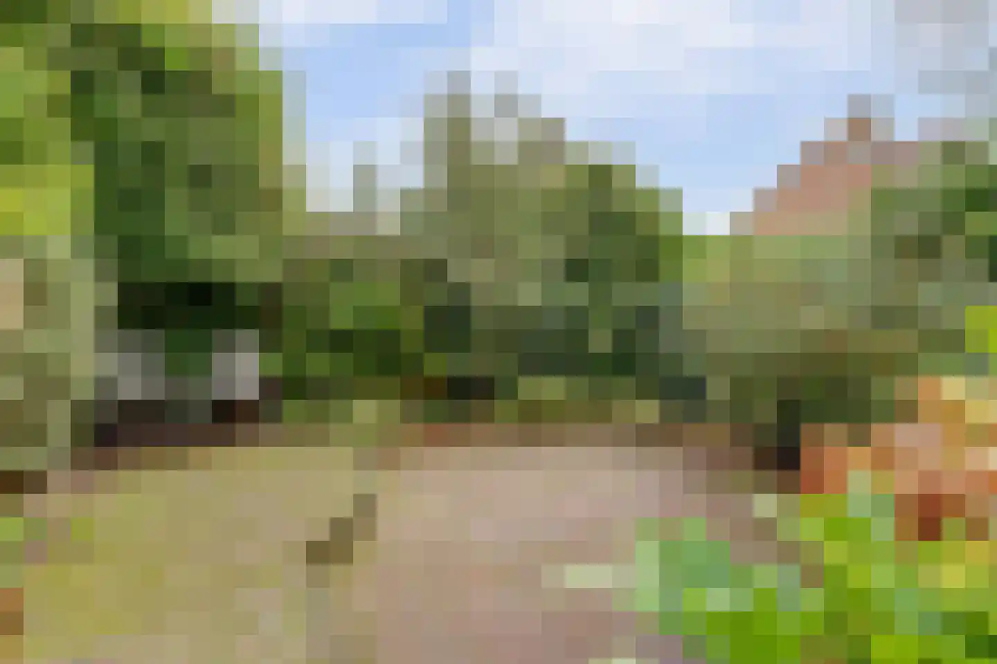 Cornelis Dopperlaan 18 Dieren thumbnail 51