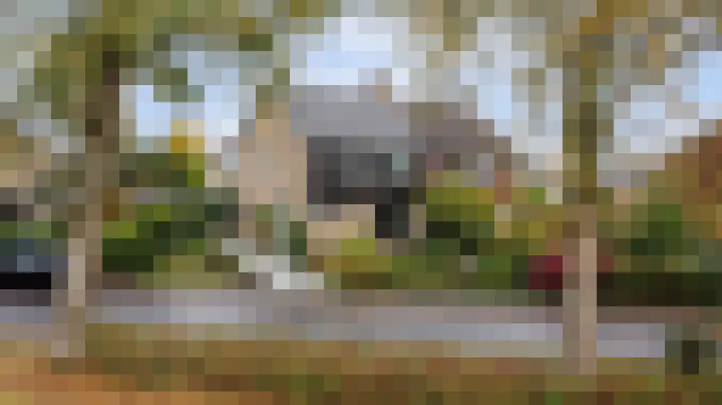 Cornelis Dopperlaan 18 Dieren thumbnail 54