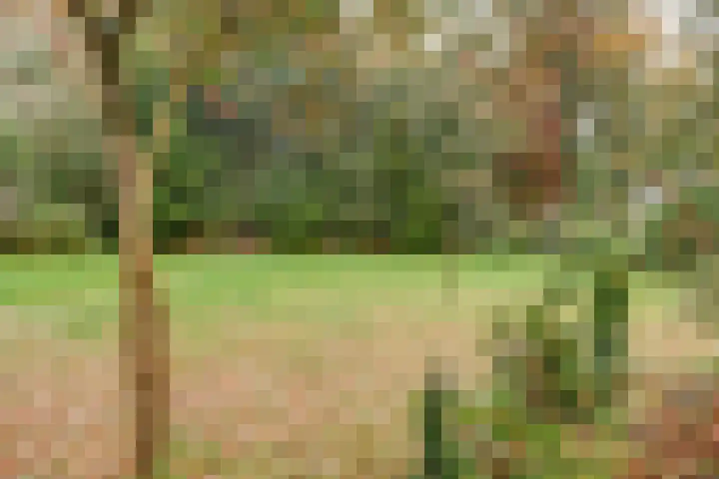 Cornelis Dopperlaan 18 Dieren thumbnail 58