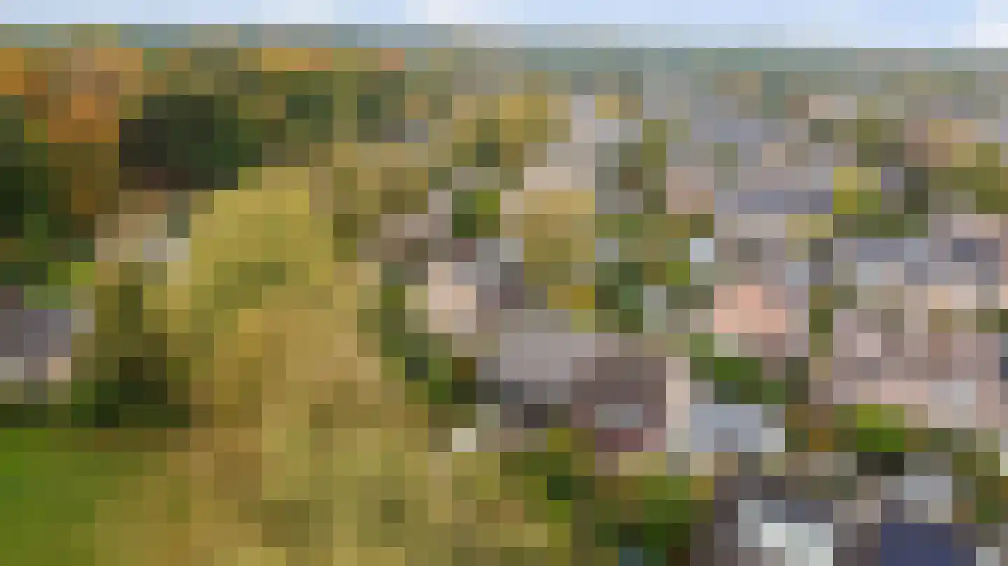Cornelis Dopperlaan 18 Dieren thumbnail 6
