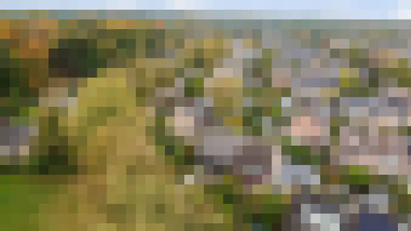 Cornelis Dopperlaan 18 Dieren thumbnail 6