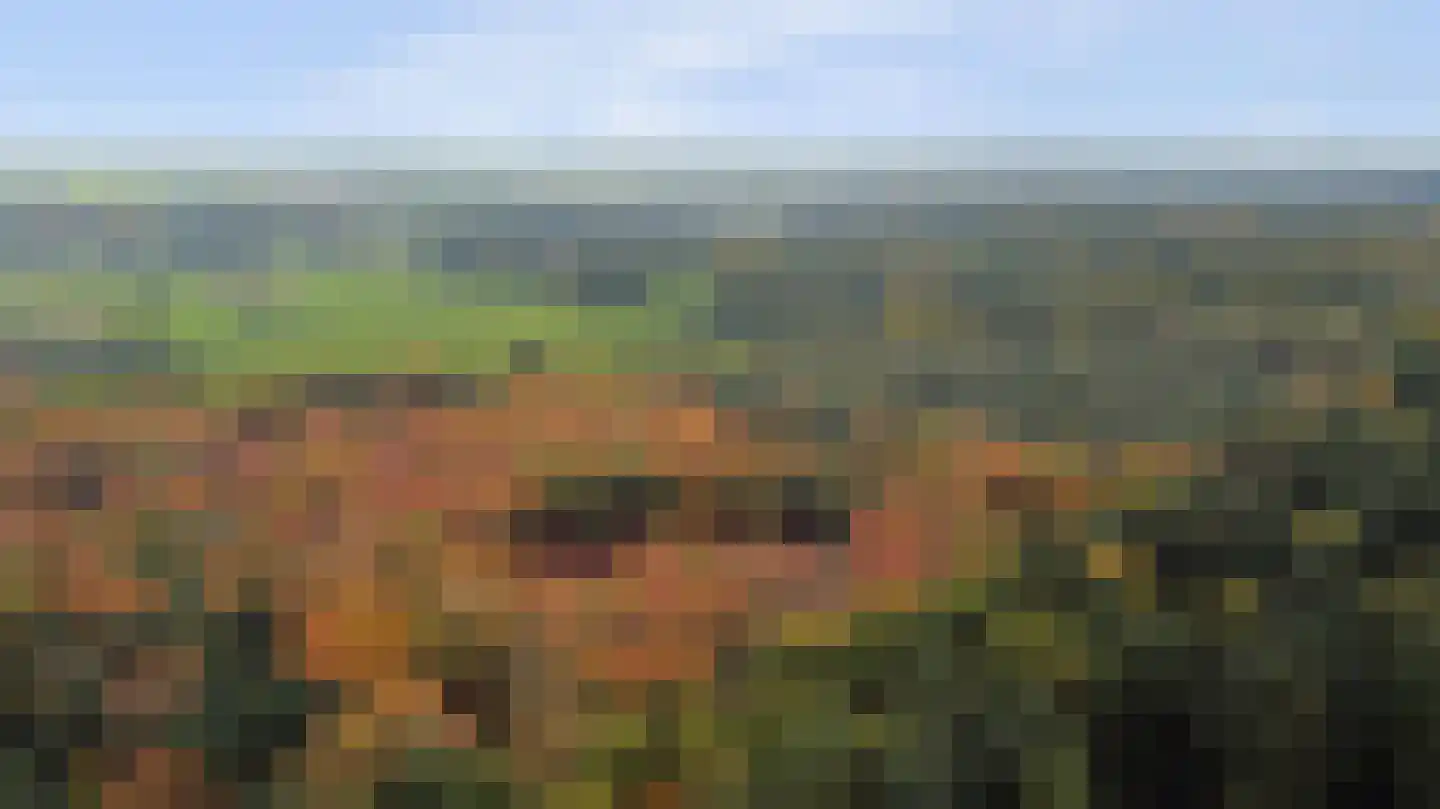 Cornelis Dopperlaan 18 Dieren thumbnail 61