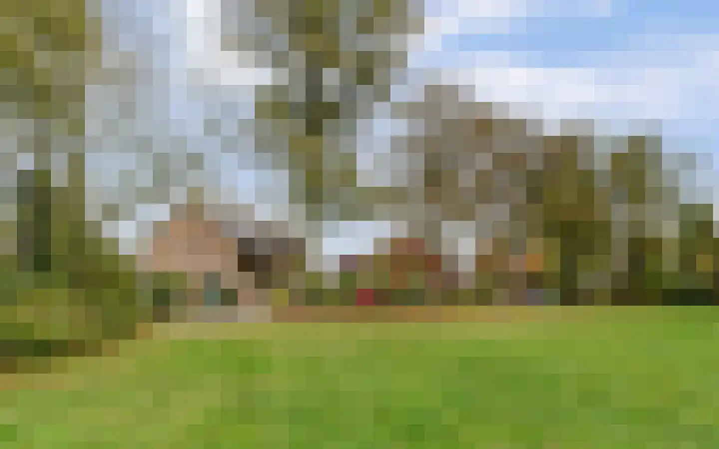 Cornelis Dopperlaan 18 Dieren thumbnail 7