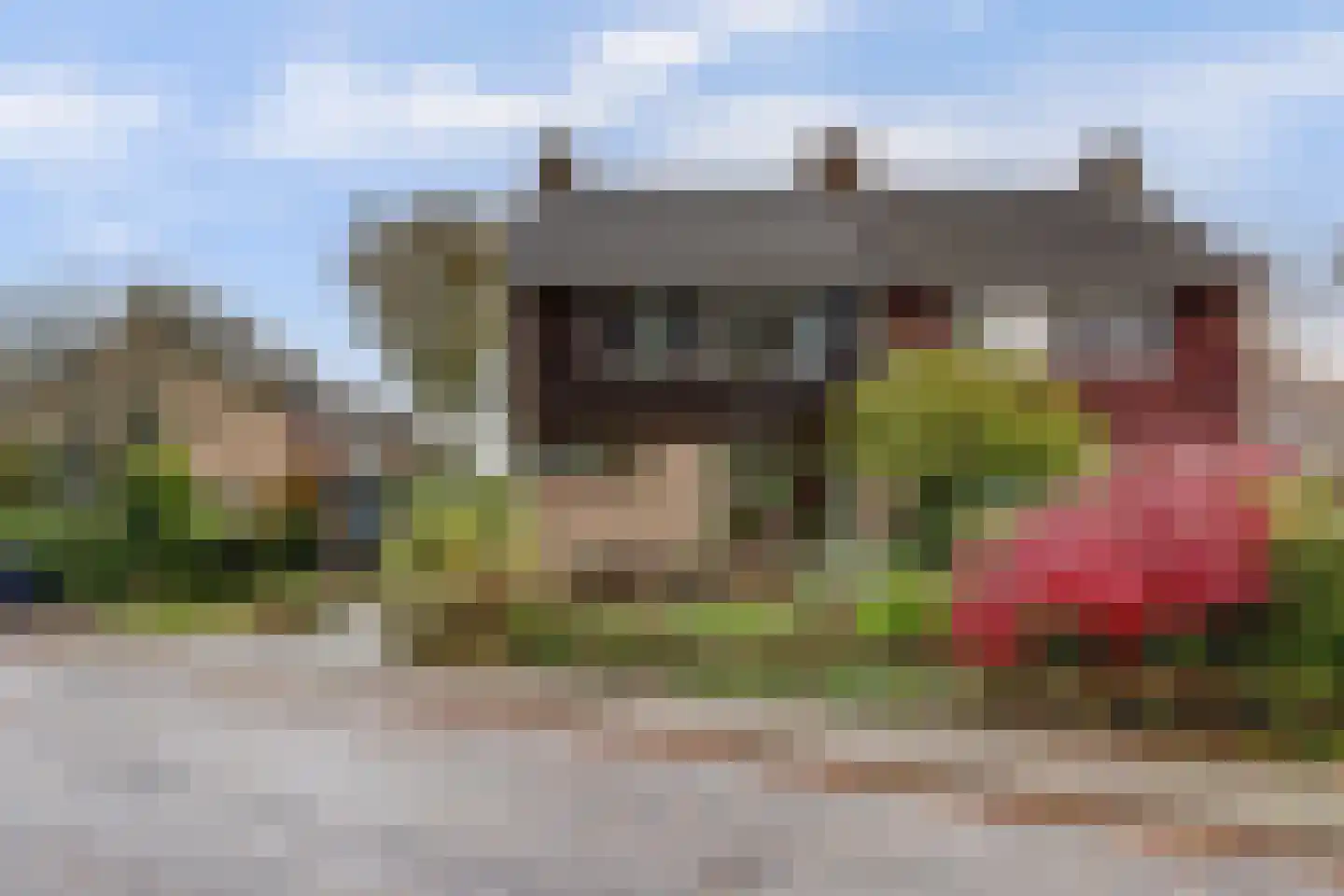 Cornelis Dopperlaan 18 Dieren thumbnail 8