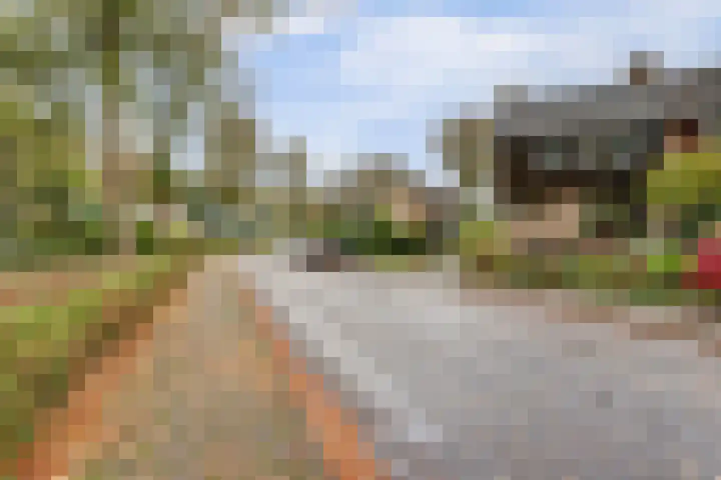 Cornelis Dopperlaan 18 Dieren thumbnail 9