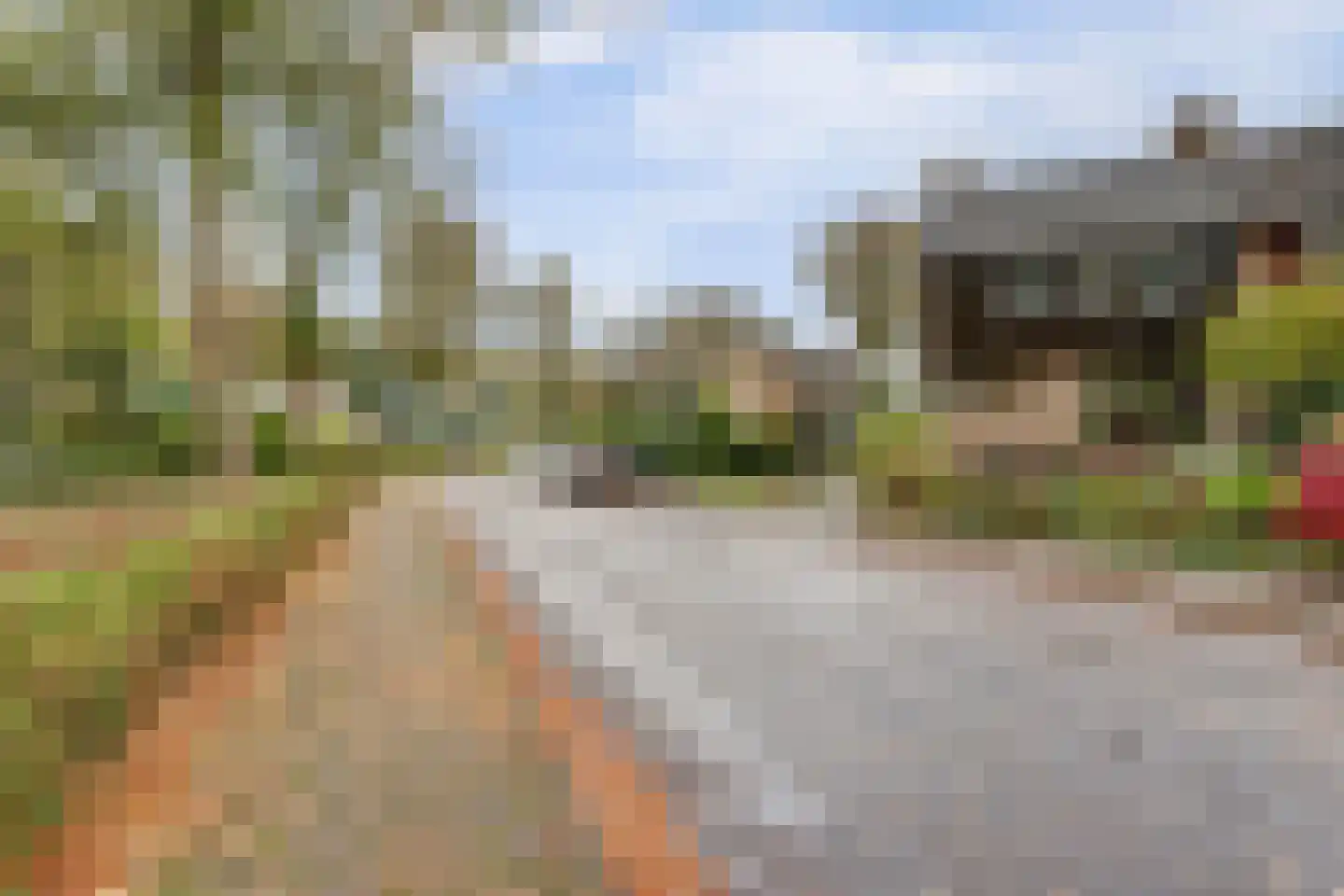 Cornelis Dopperlaan 18 Dieren thumbnail 9