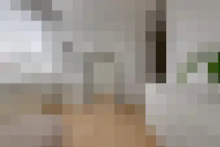 Cornelis Dopperlaan 18 Stadskanaal thumbnail 31