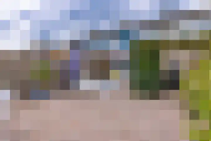 Cornelis Dopperlaan 18 Stadskanaal thumbnail 39