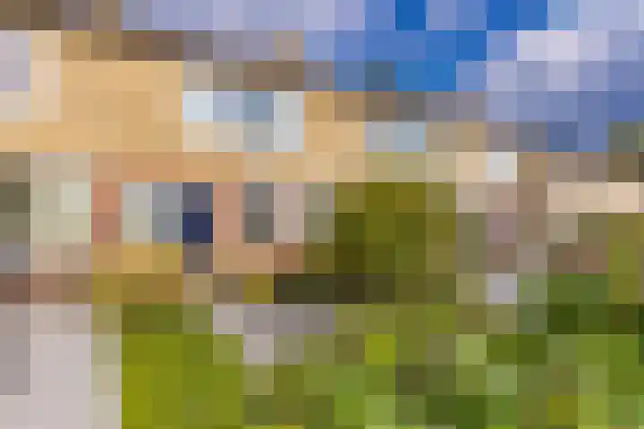 Cornelis Dopperlaan 18 Stadskanaal thumbnail 6