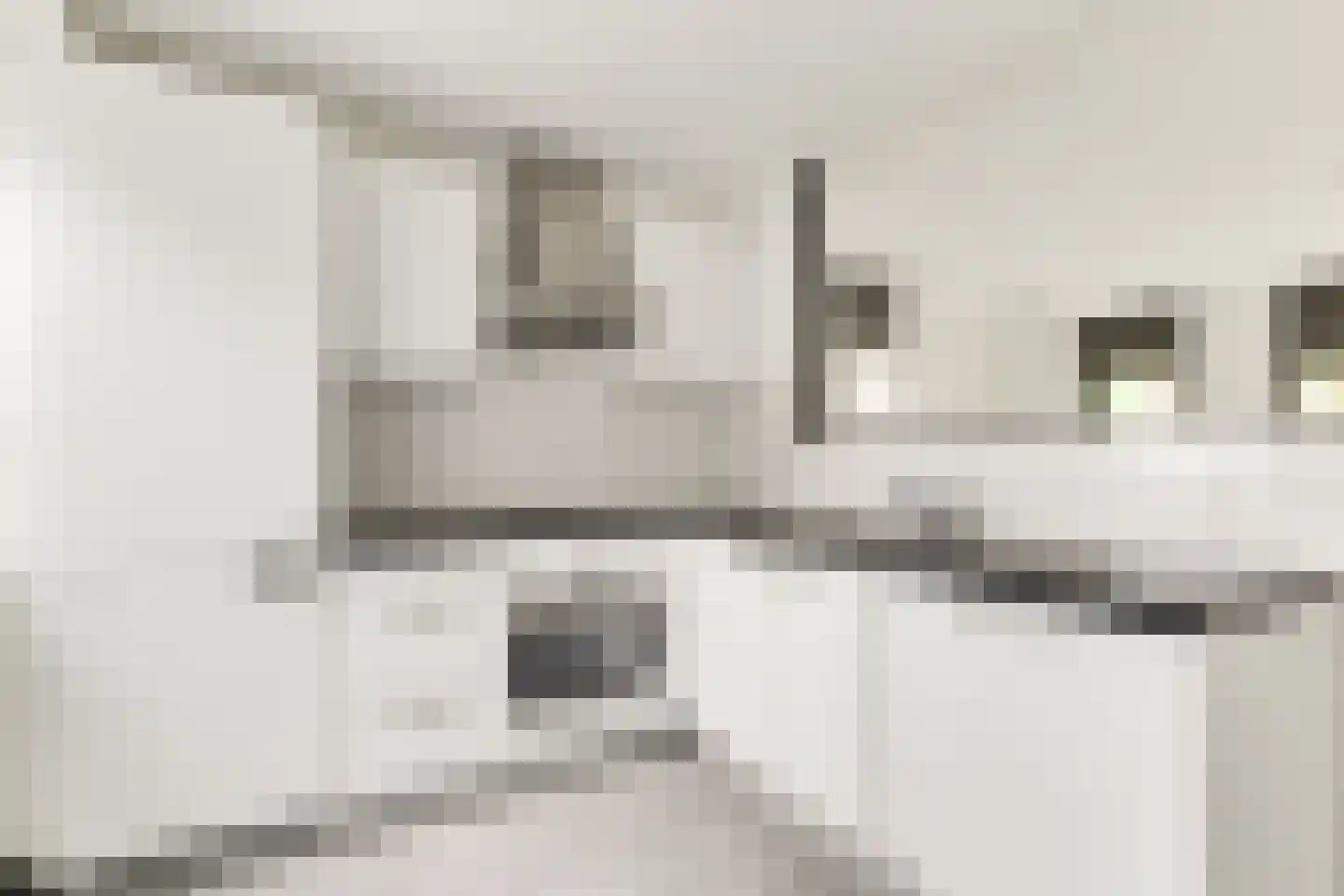 Cornelis Dopperlaan 20 Oegstgeest thumbnail 12