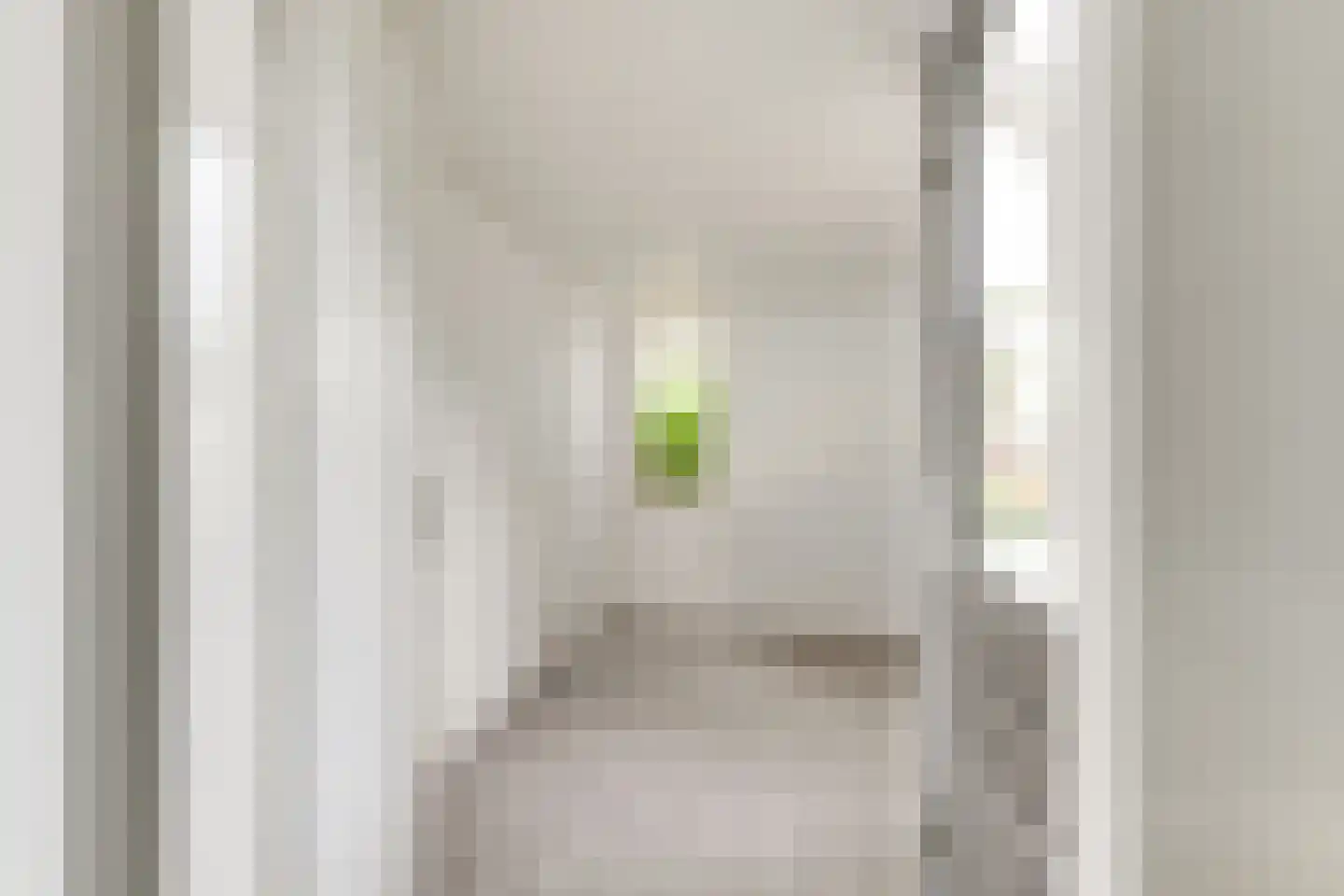 Cornelis Dopperlaan 20 Oegstgeest thumbnail 15