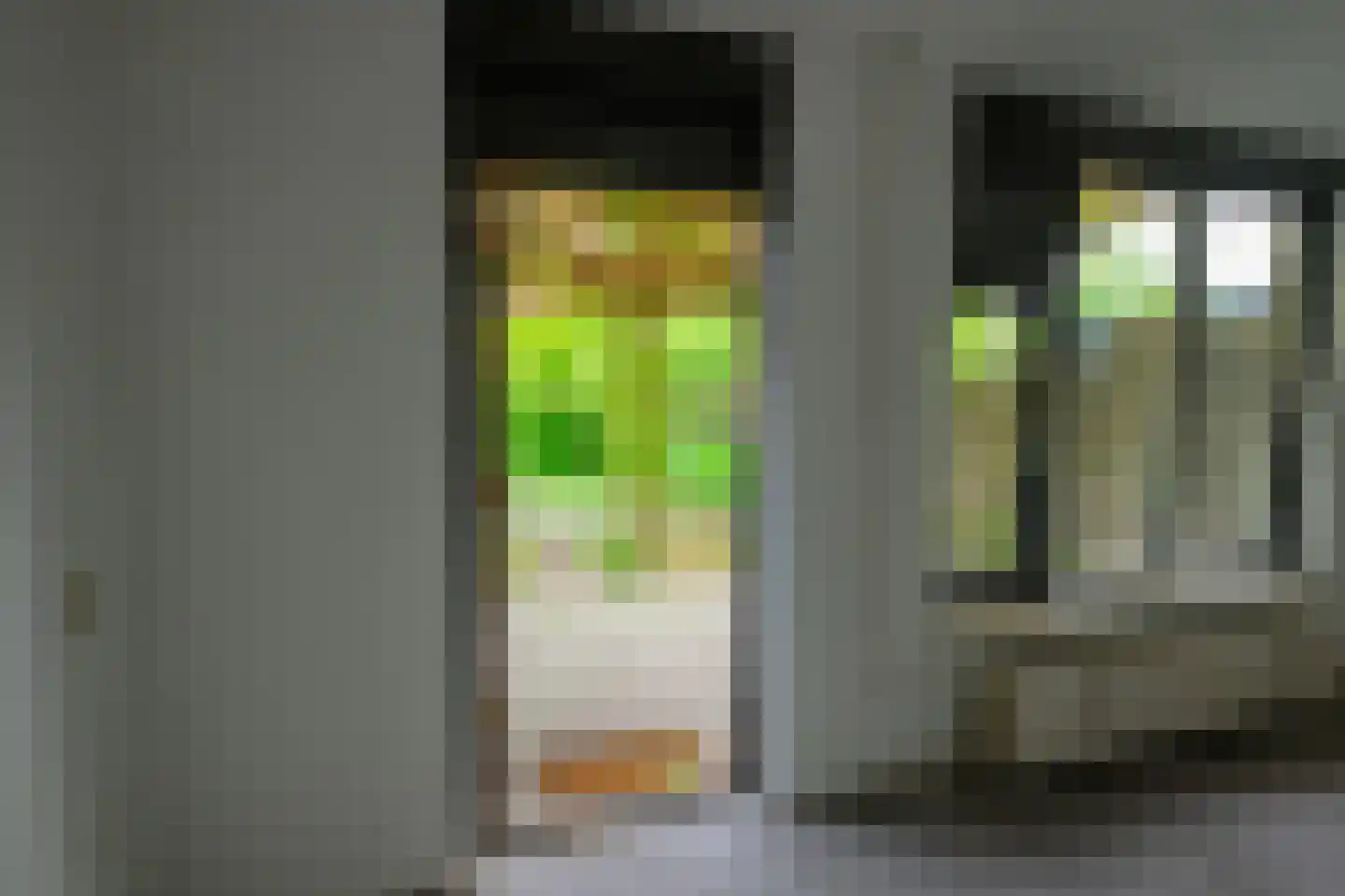 Cornelis Dopperlaan 20 Oegstgeest thumbnail 17