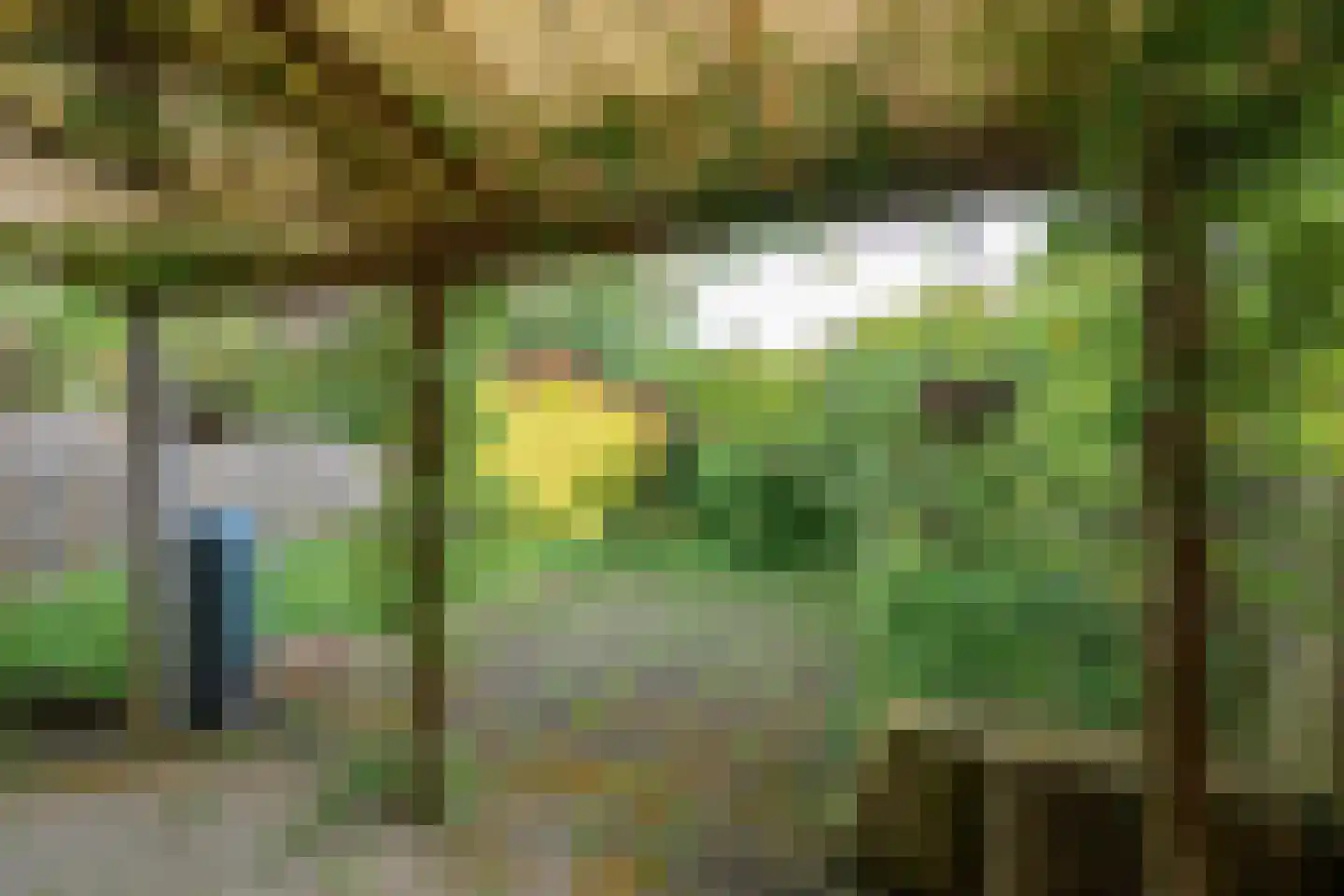 Cornelis Dopperlaan 20 Oegstgeest thumbnail 18
