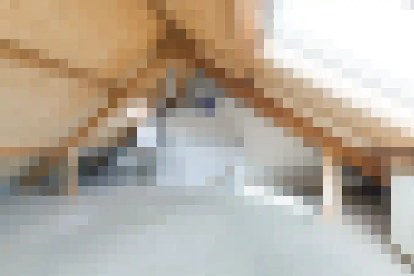 Cornelis Dopperlaan 20 Oegstgeest thumbnail 32