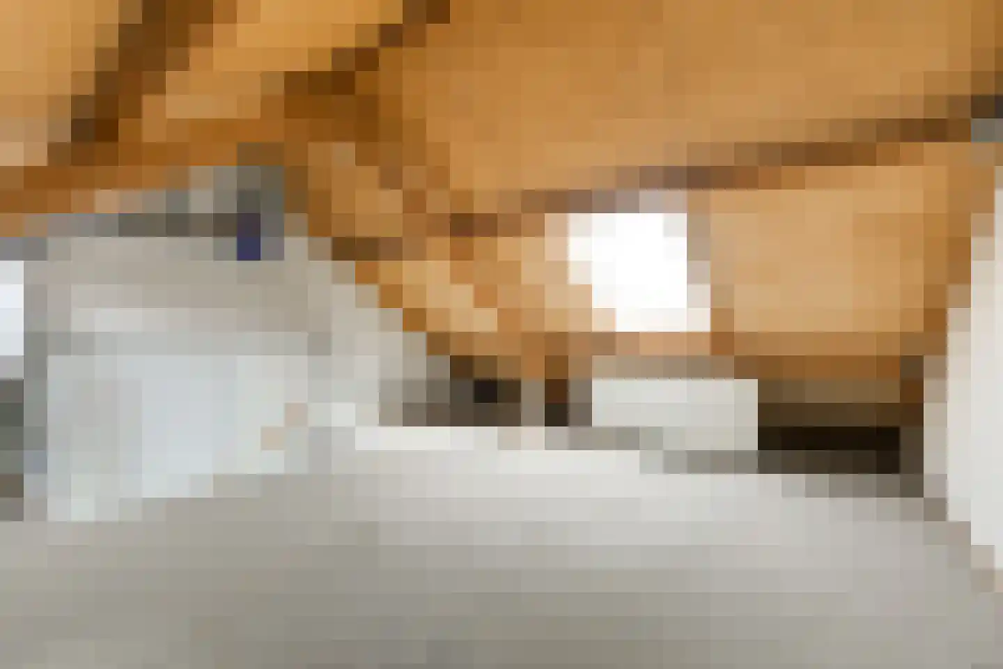 Cornelis Dopperlaan 20 Oegstgeest thumbnail 33