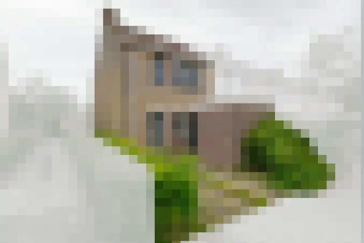 Cornelis Dopperlaan 20 Oegstgeest thumbnail 34