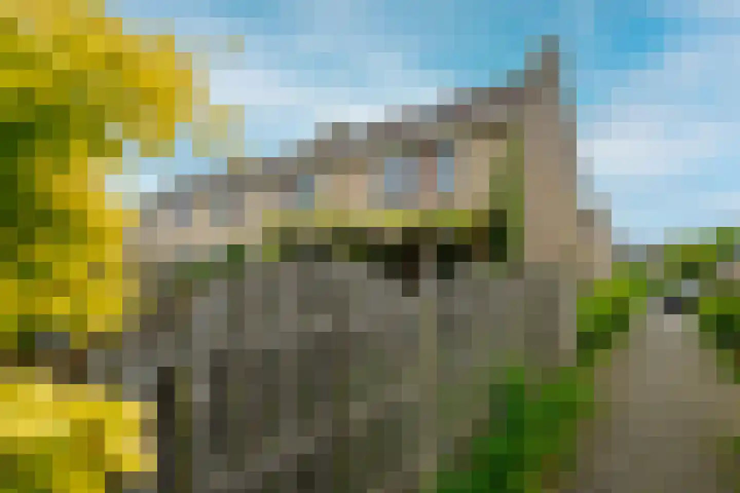 Cornelis Dopperlaan 20 Oegstgeest thumbnail 4