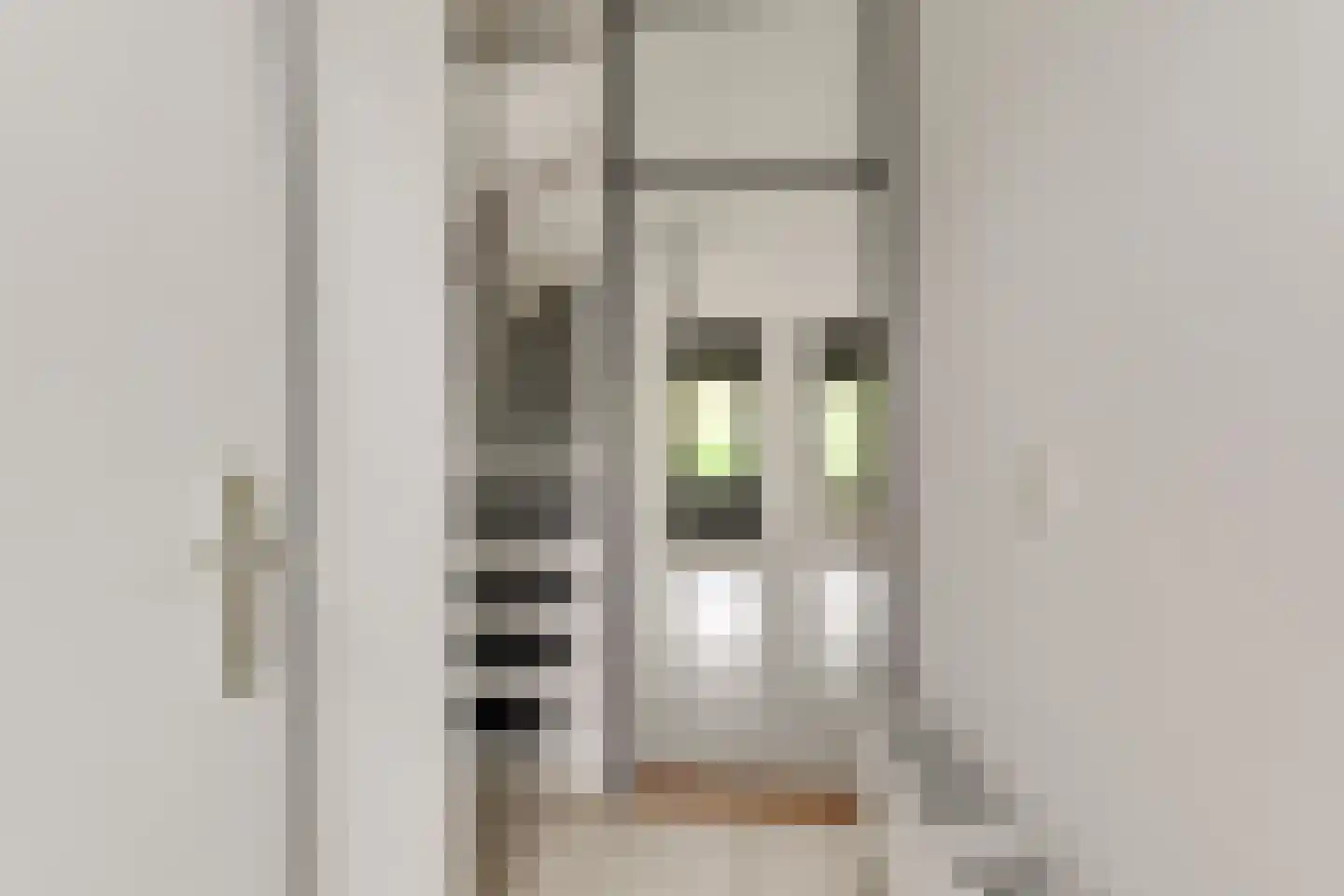 Cornelis Dopperlaan 20 Oegstgeest thumbnail 8