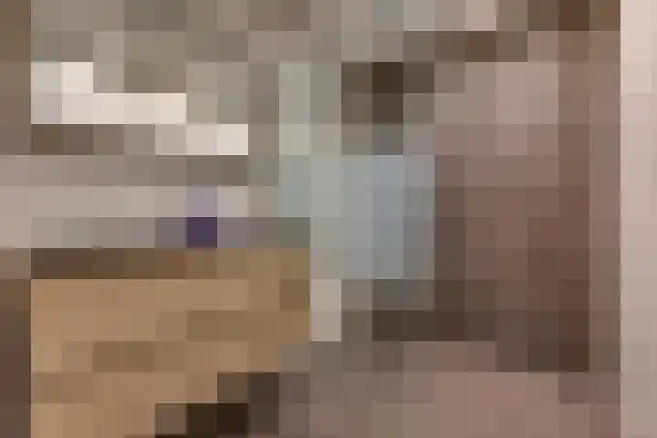Cornelis Dopperlaan 32 Stadskanaal thumbnail 4