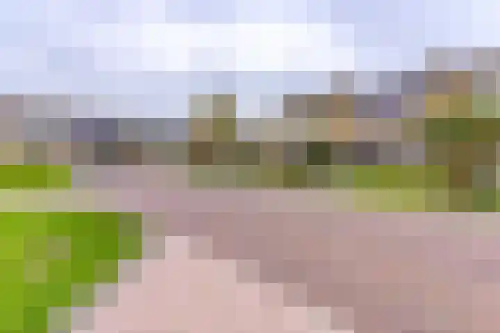 Cornelis Dopperlaan 32 Stadskanaal thumbnail 8