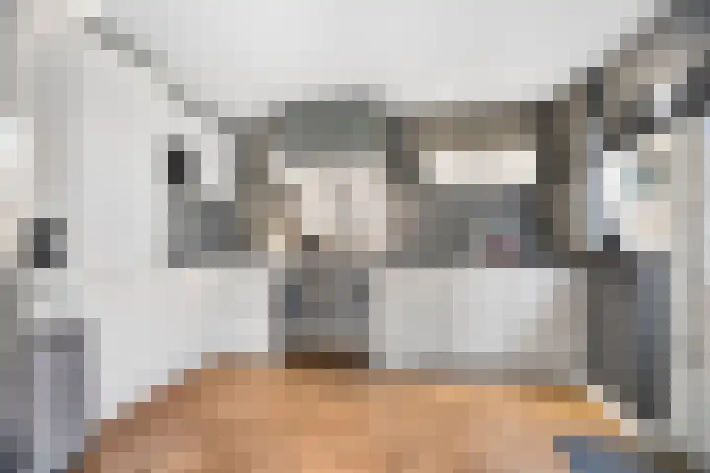 Cornelis Dopperlaan 46 Dieren thumbnail 14